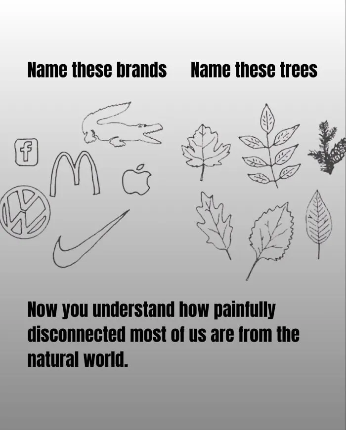 Name Them