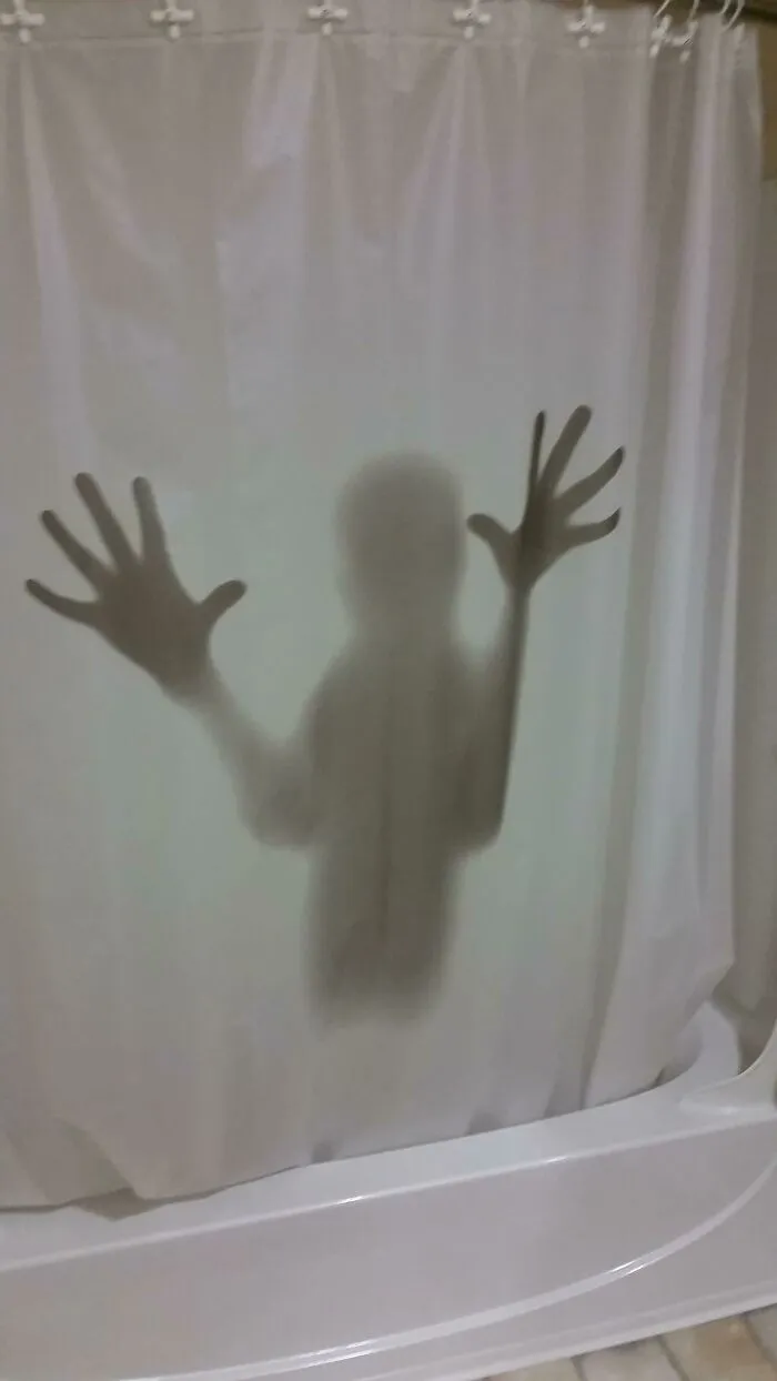 My Friend's New Shower Curtain Scared Me When I Went To The Bathroom
