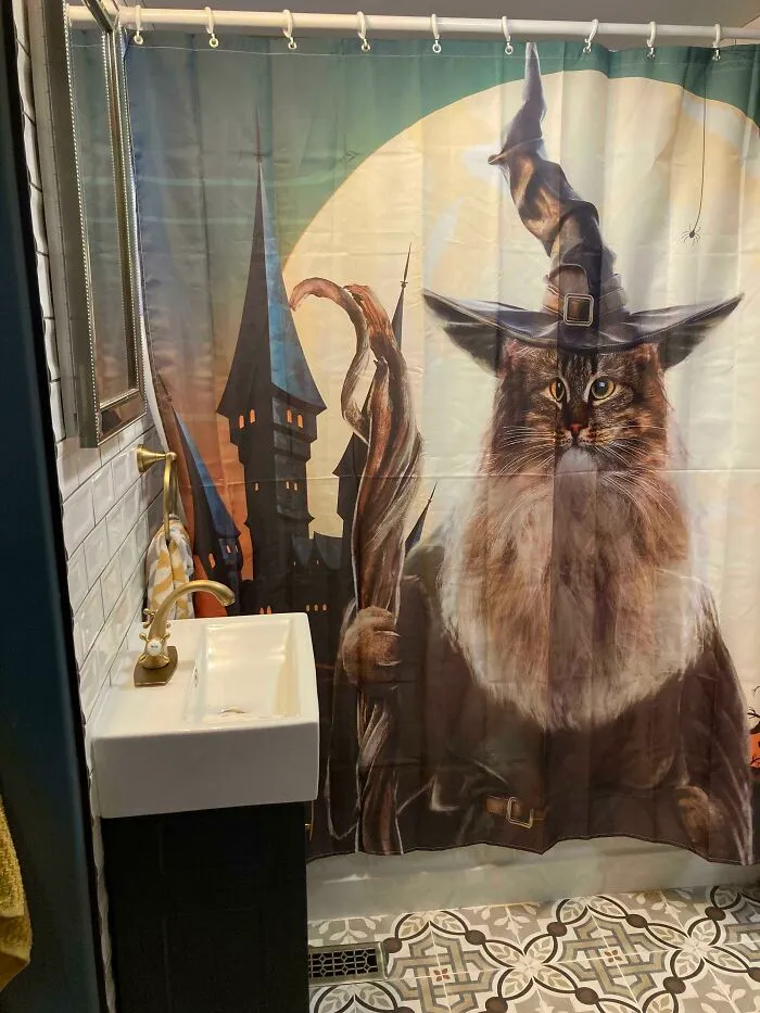 I Think My New Shower Curtain Will Be Appreciated Here