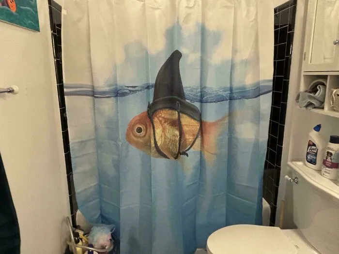 Just Got My New Shower Curtain Up, Thoughts?
