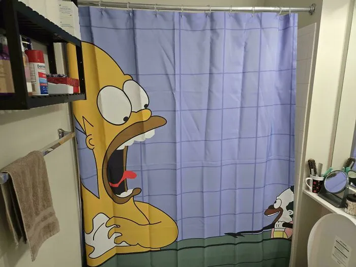 My New Shower Curtain