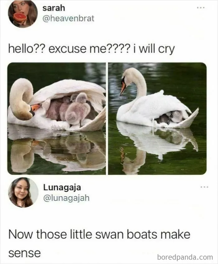 This Is Adorable