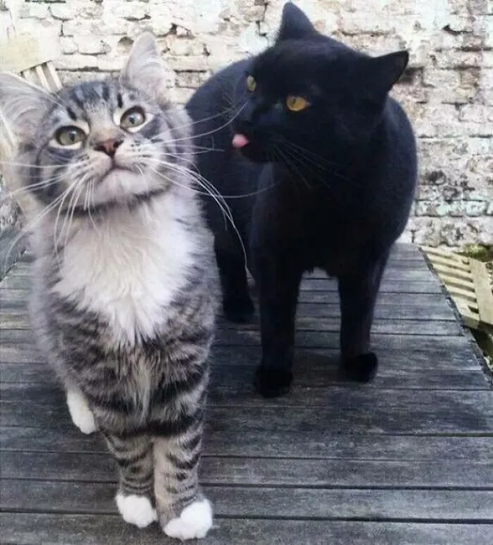 Is He Making That Face Again?