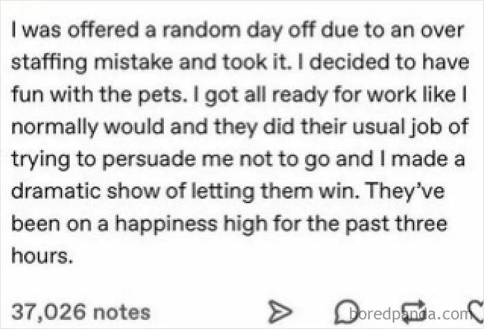 Wholesome-Memes-Posts-Justhavefun2023