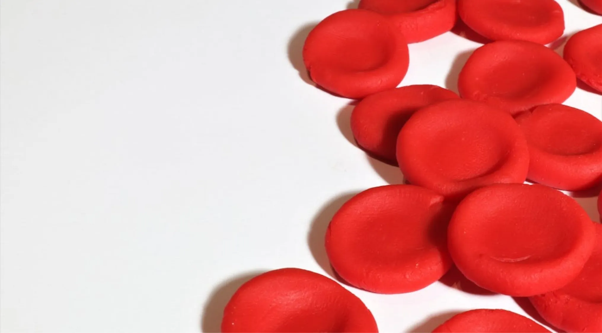 Numerous red blood cell models on a white background, representing bleeding and first aid in survival situations.