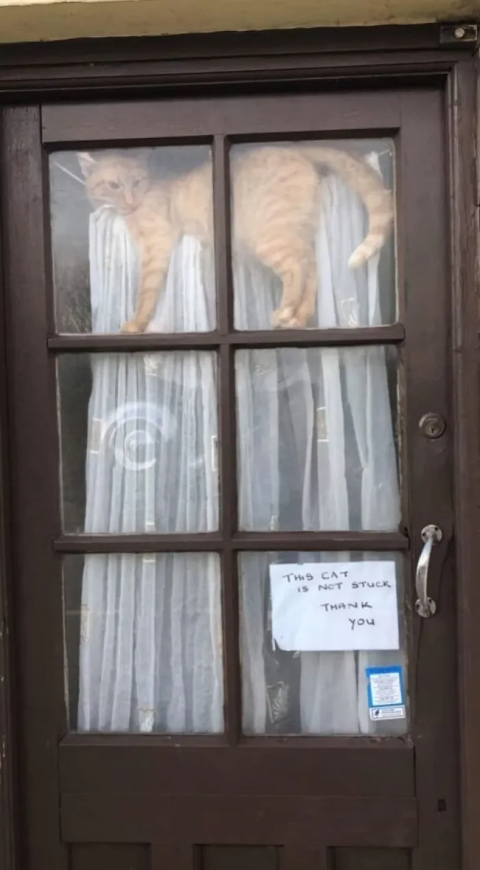 This FB Page Is Dedicated To Absurd Signs, Here Are The 84 Funniest Examples