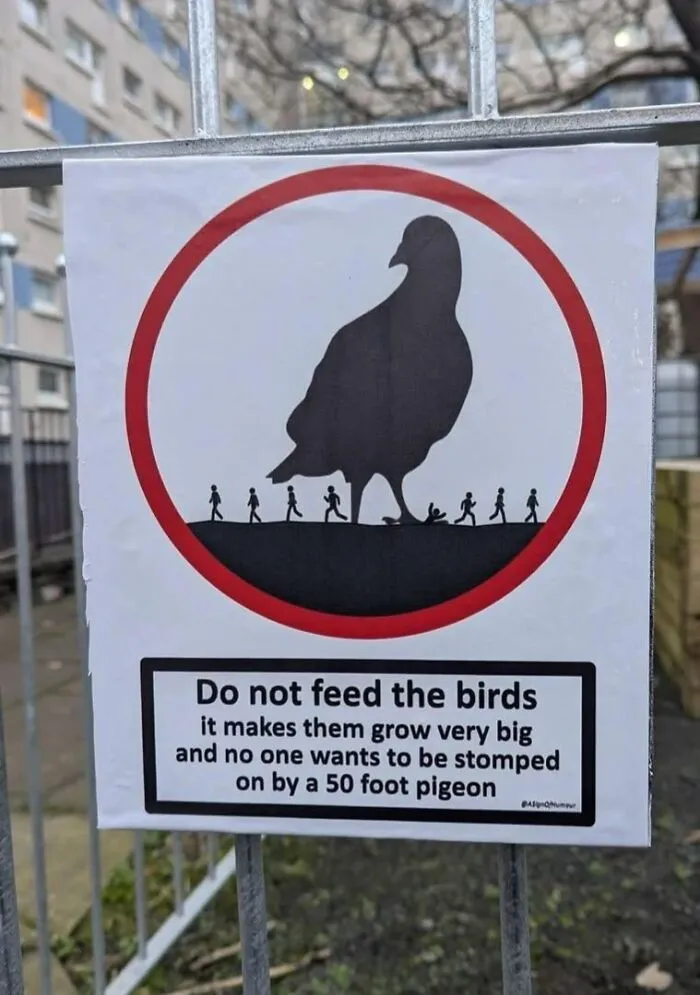This FB Page Is Dedicated To Absurd Signs, Here Are The 84 Funniest Examples