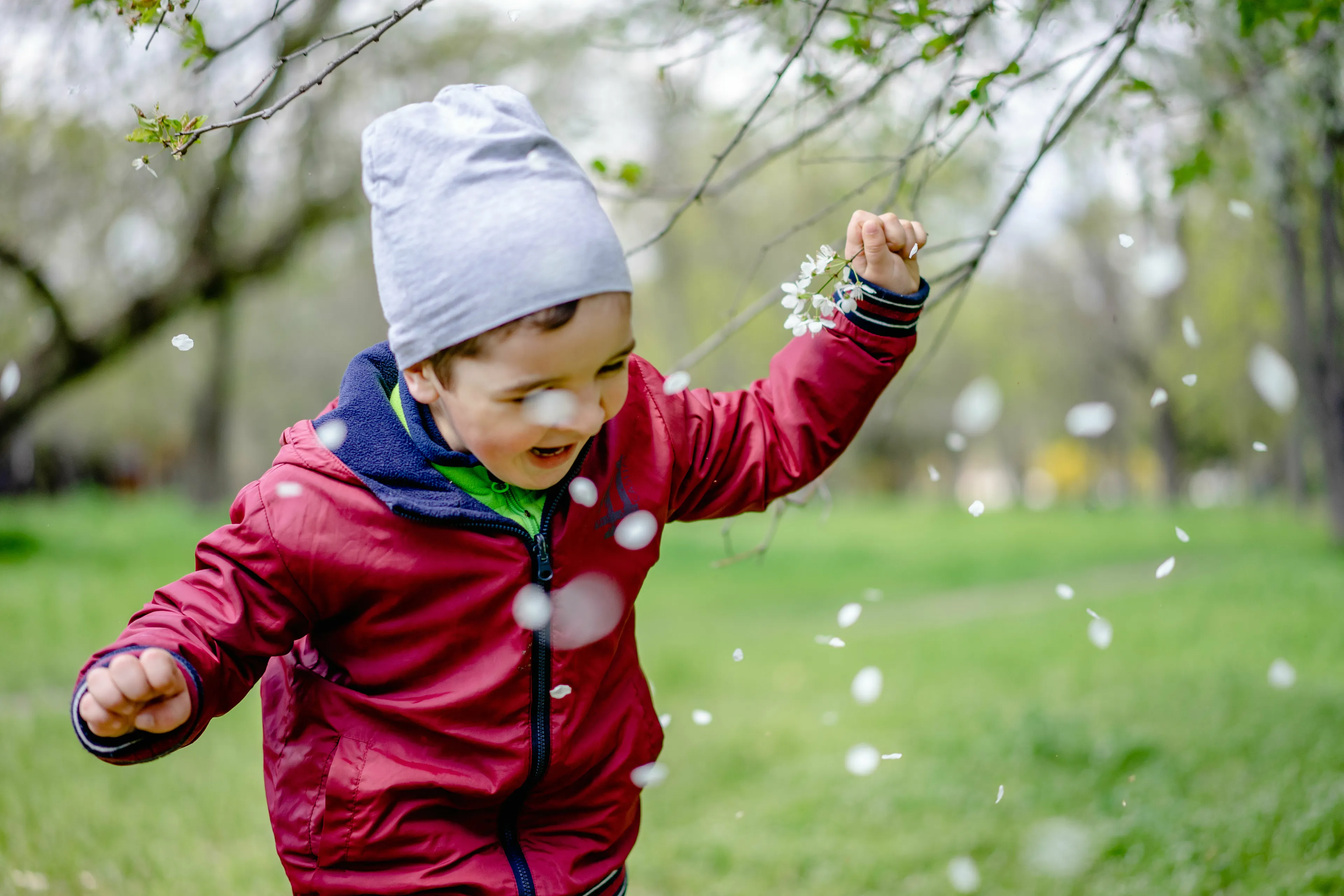 A joyful child in a grey hat and red jacket playing in a park, surrounded by falling blossom petals, enjoying the British Vocabulary Quiz.