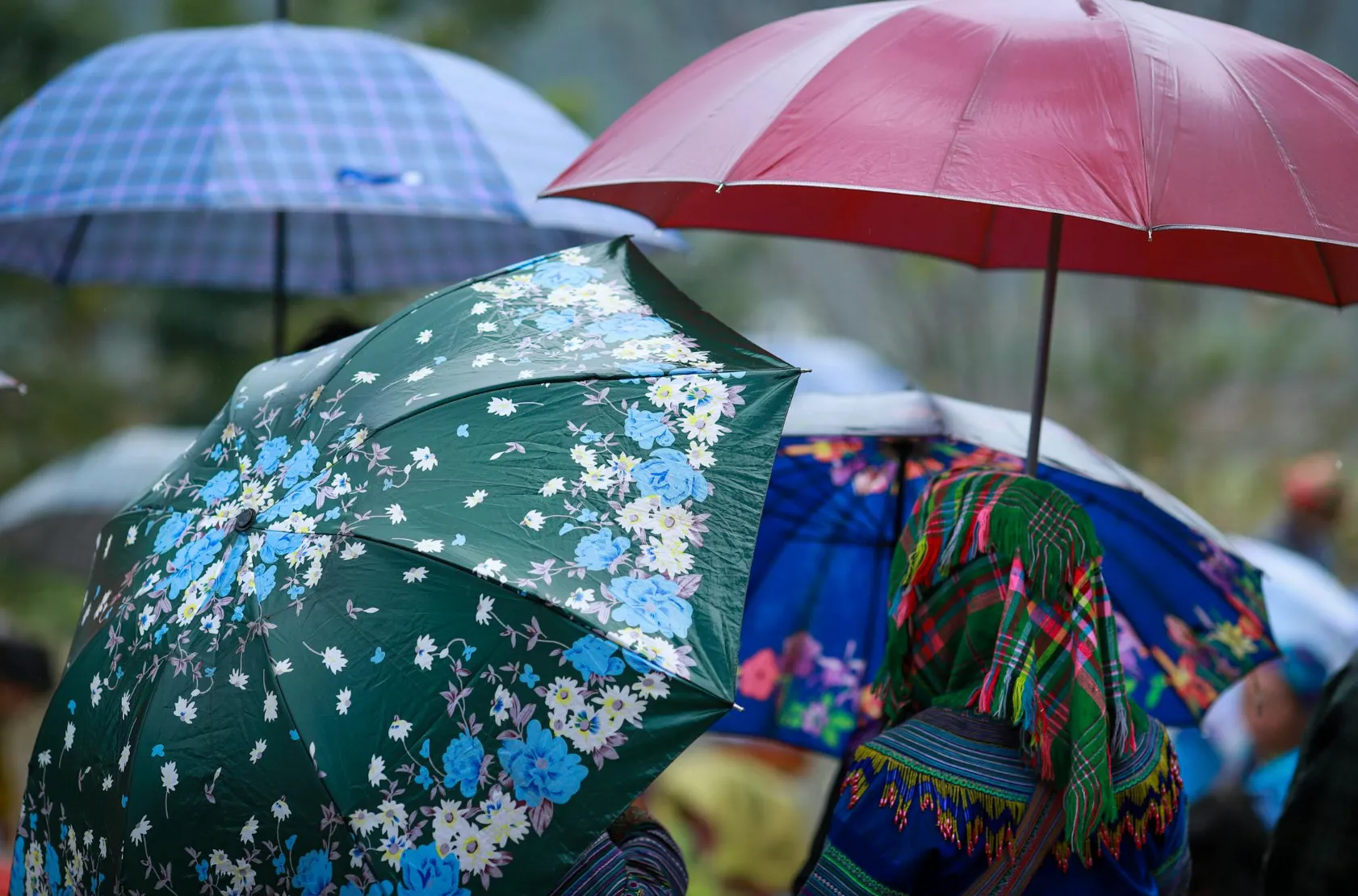 A close-up of colorful umbrella tops, one with a floral pattern, sheltering people from rain, defining brolly.