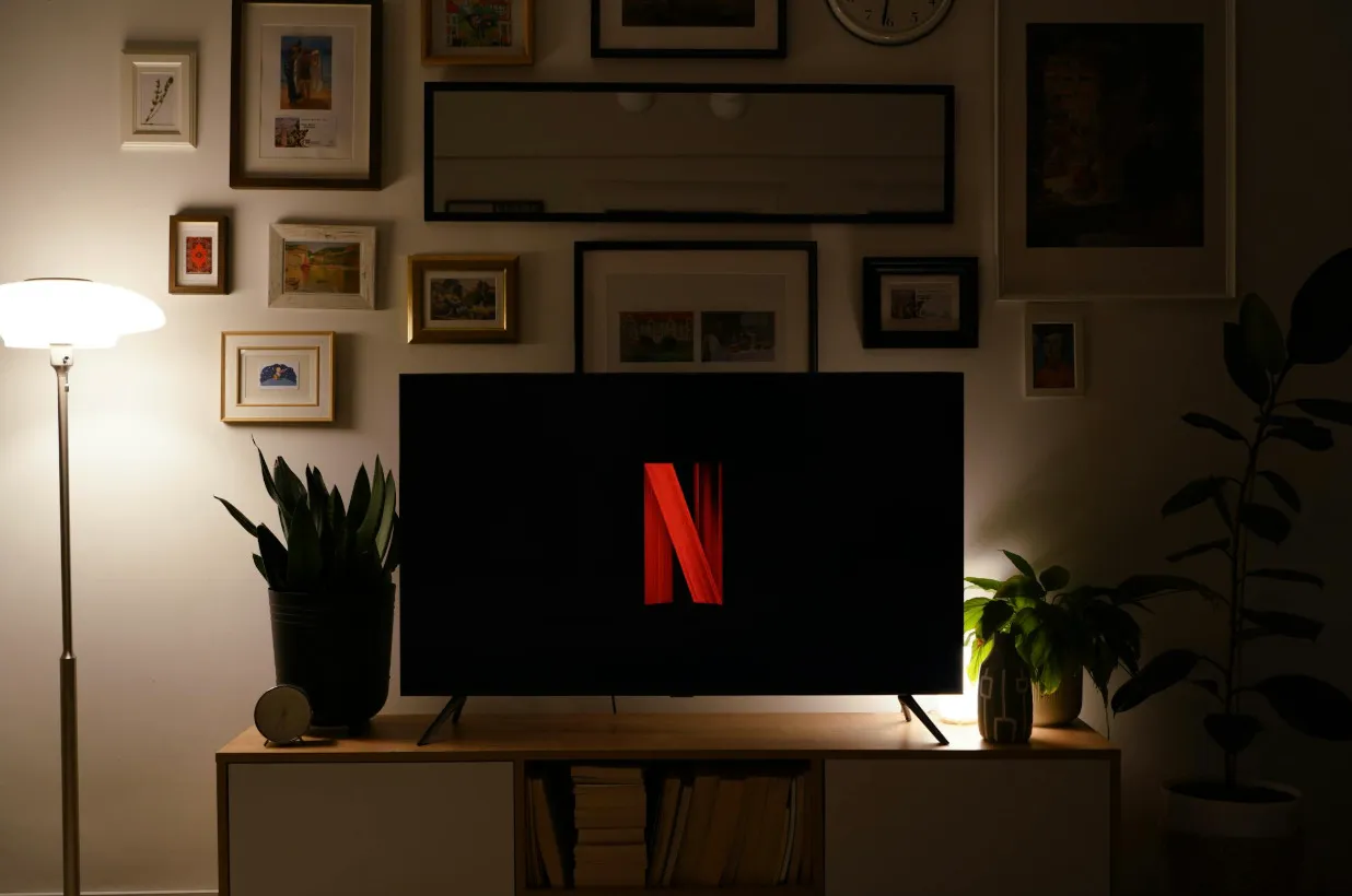 A Netflix logo on a dark television screen in a dimly lit room, with plants and framed pictures around the telly.