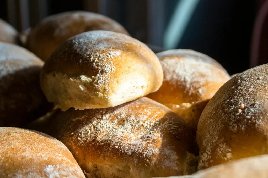 A close-up of freshly baked bread rolls, lightly dusted with flour, catching warm sunlight. Delicious bread roll.