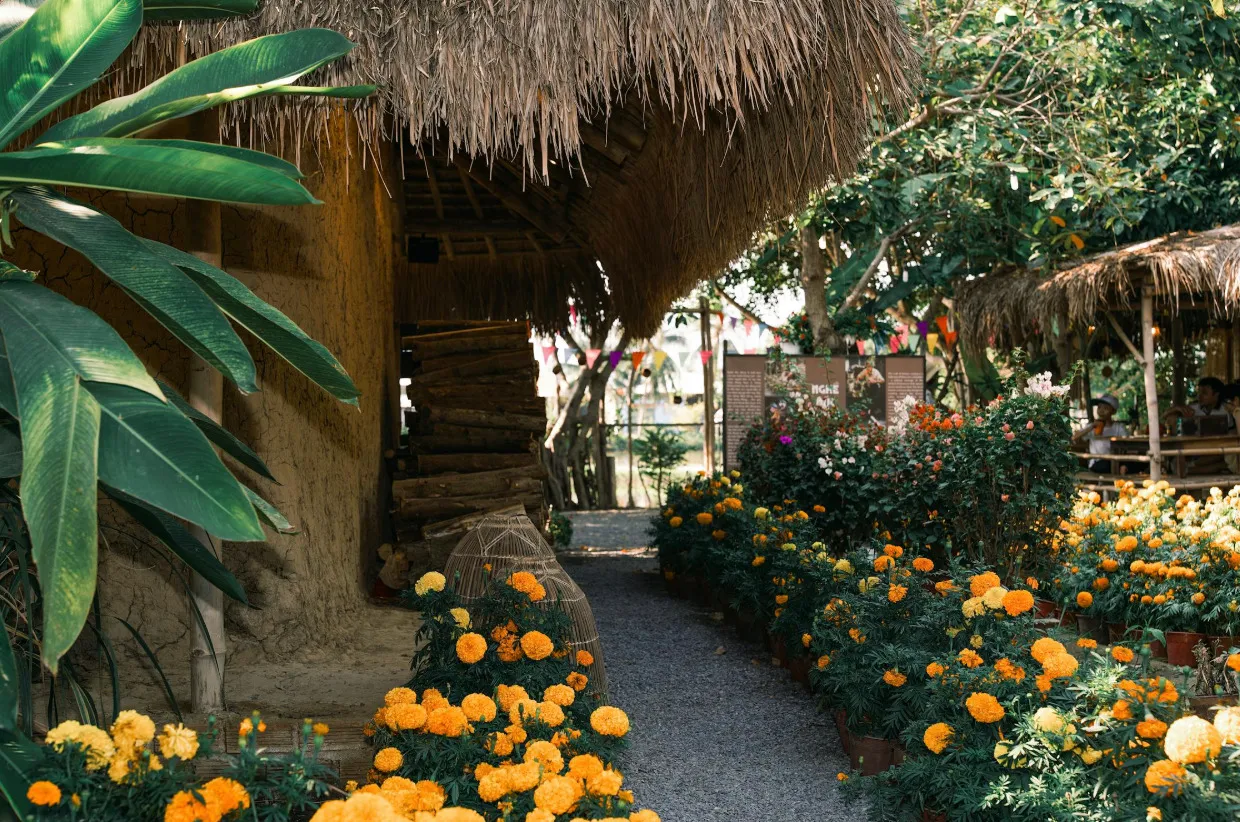 A path winding through a vibrant garden with orange and yellow flowers, perfect for visiting a garden centre.