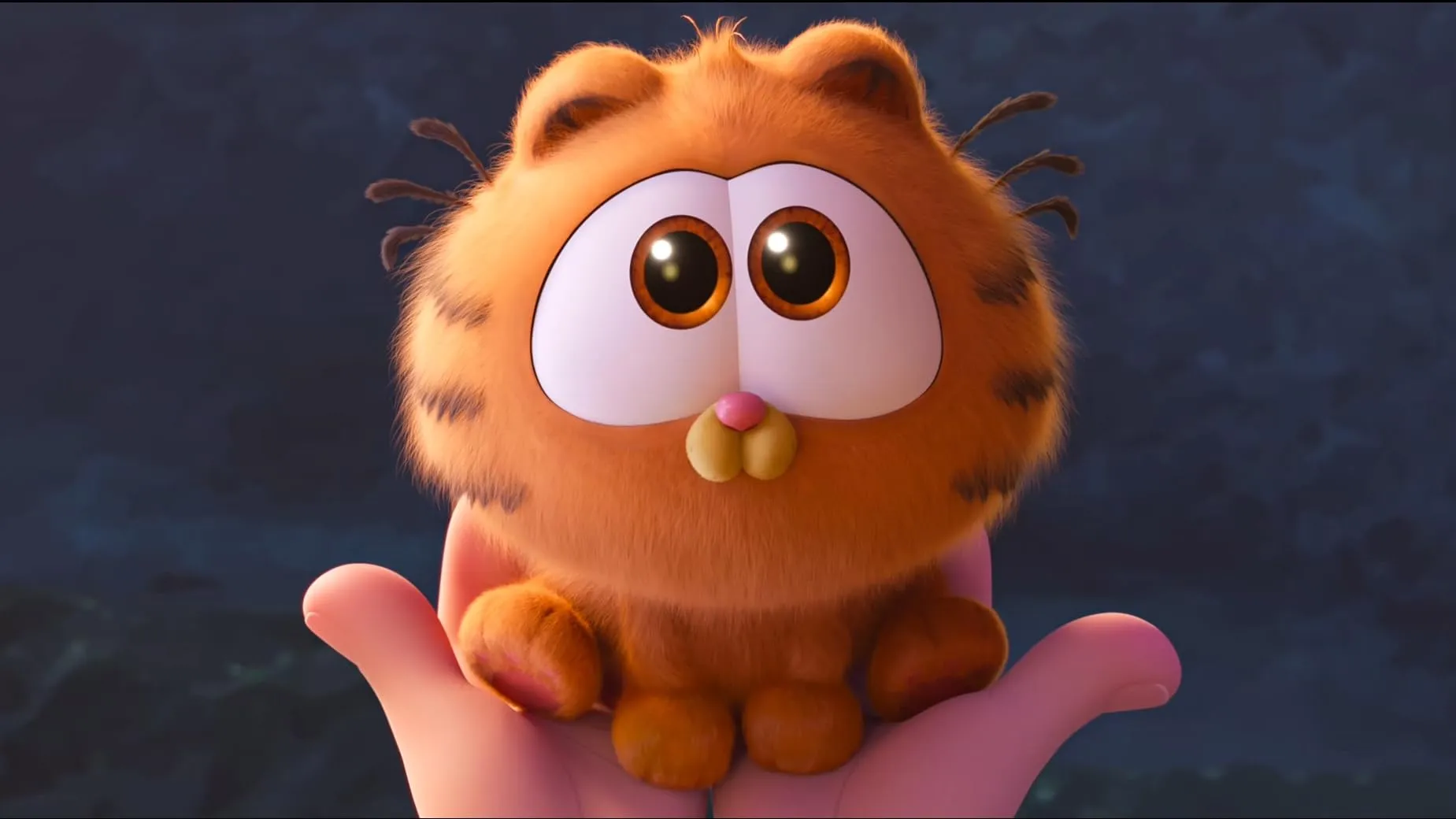 An adorable, fluffy, animated Garfield kitten with huge, innocent eyes sitting in a person's palm.