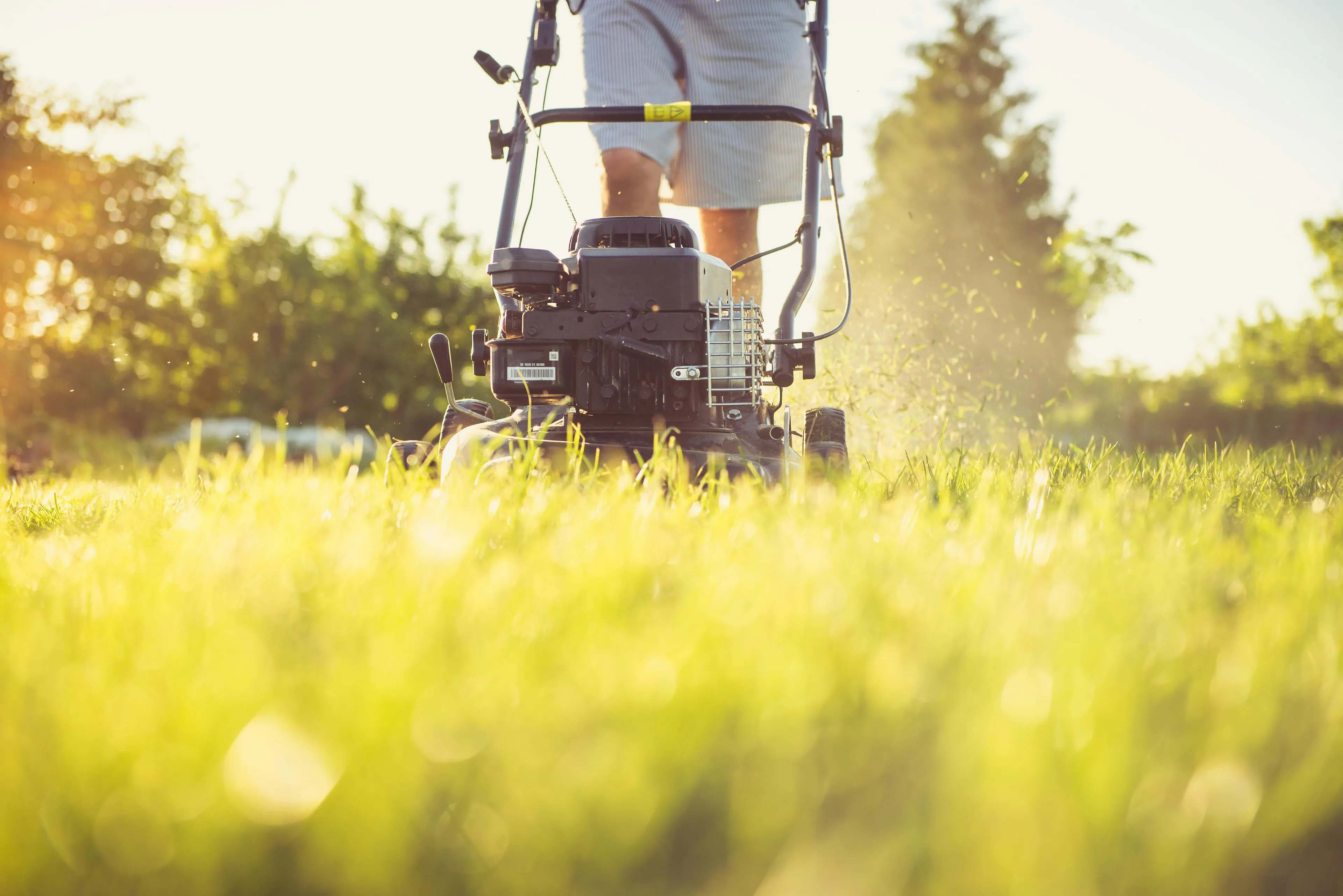 A person wearing shorts mows a sunny lawn, producing a scent of freshly cut grass, evoking good feelings.