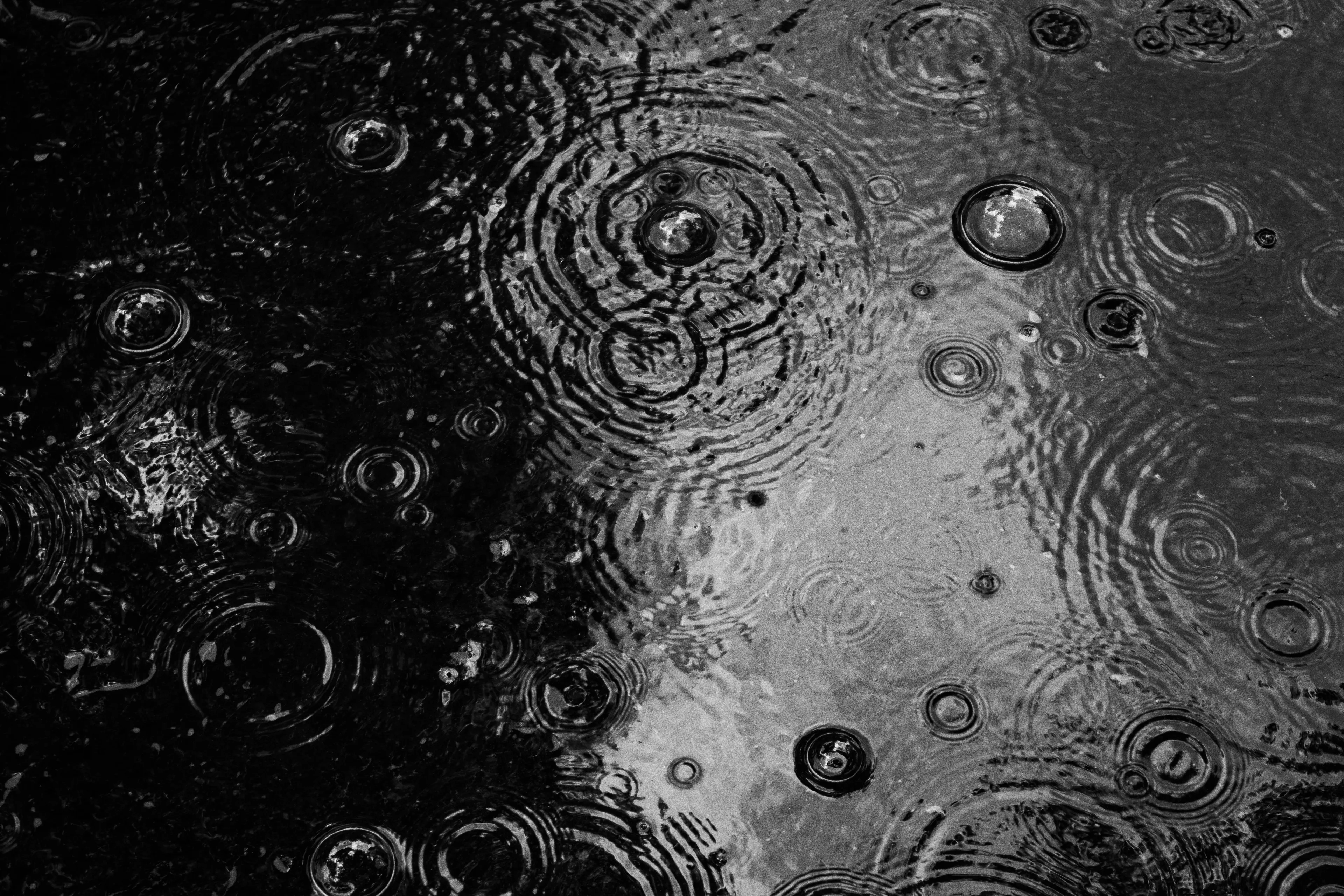 Black and white photo of water surface with many concentric ripples and bubbles from rain.