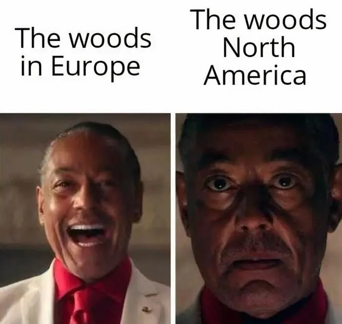 What's Wrong With The Woods Of North America? Explain It Peter