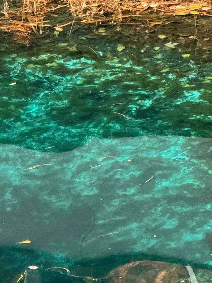 How Did The Water Become Such A Bright Teal Color?