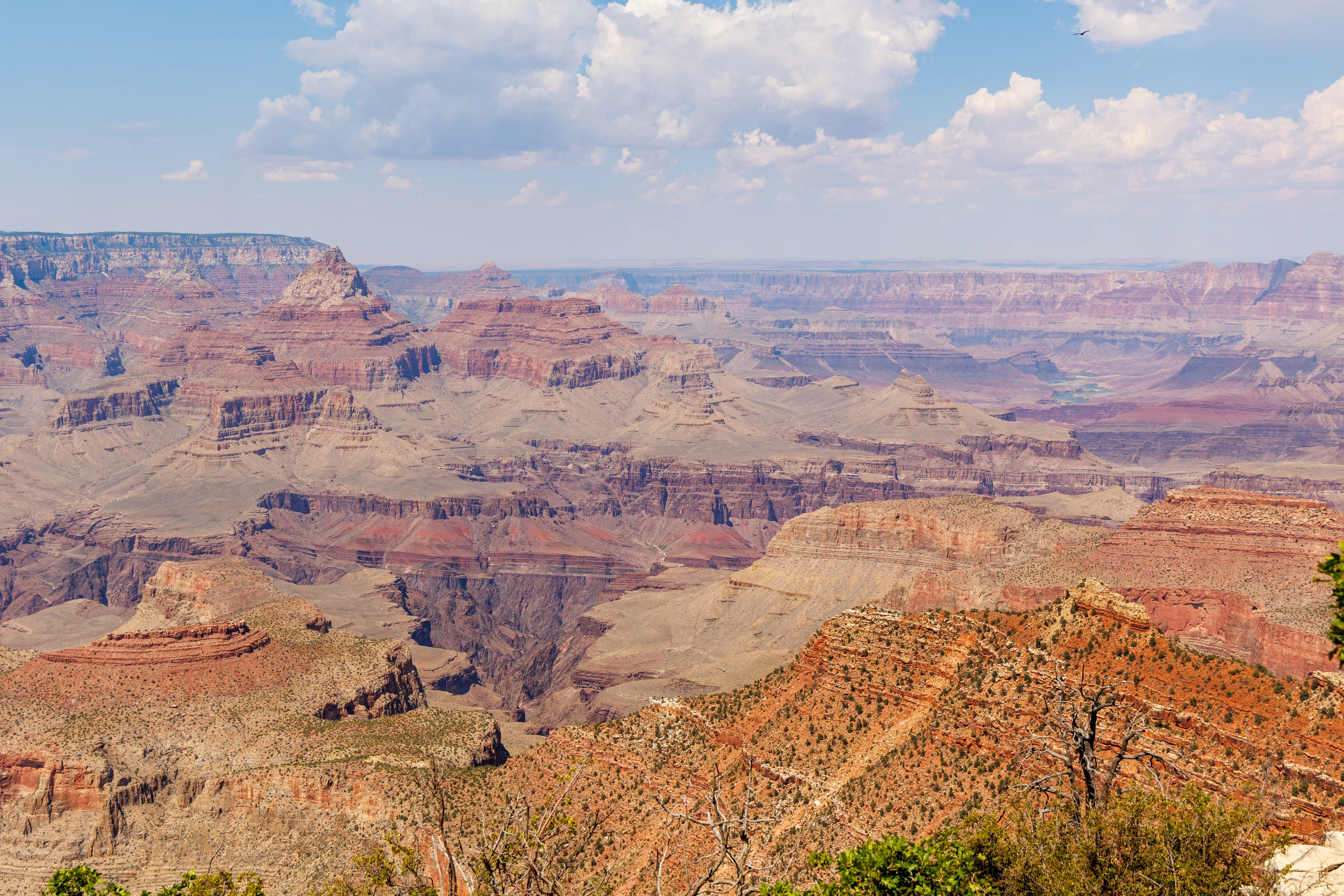 Expansive Grand Canyon landscape under a blue sky, perfect for a US State Capitals Quiz.