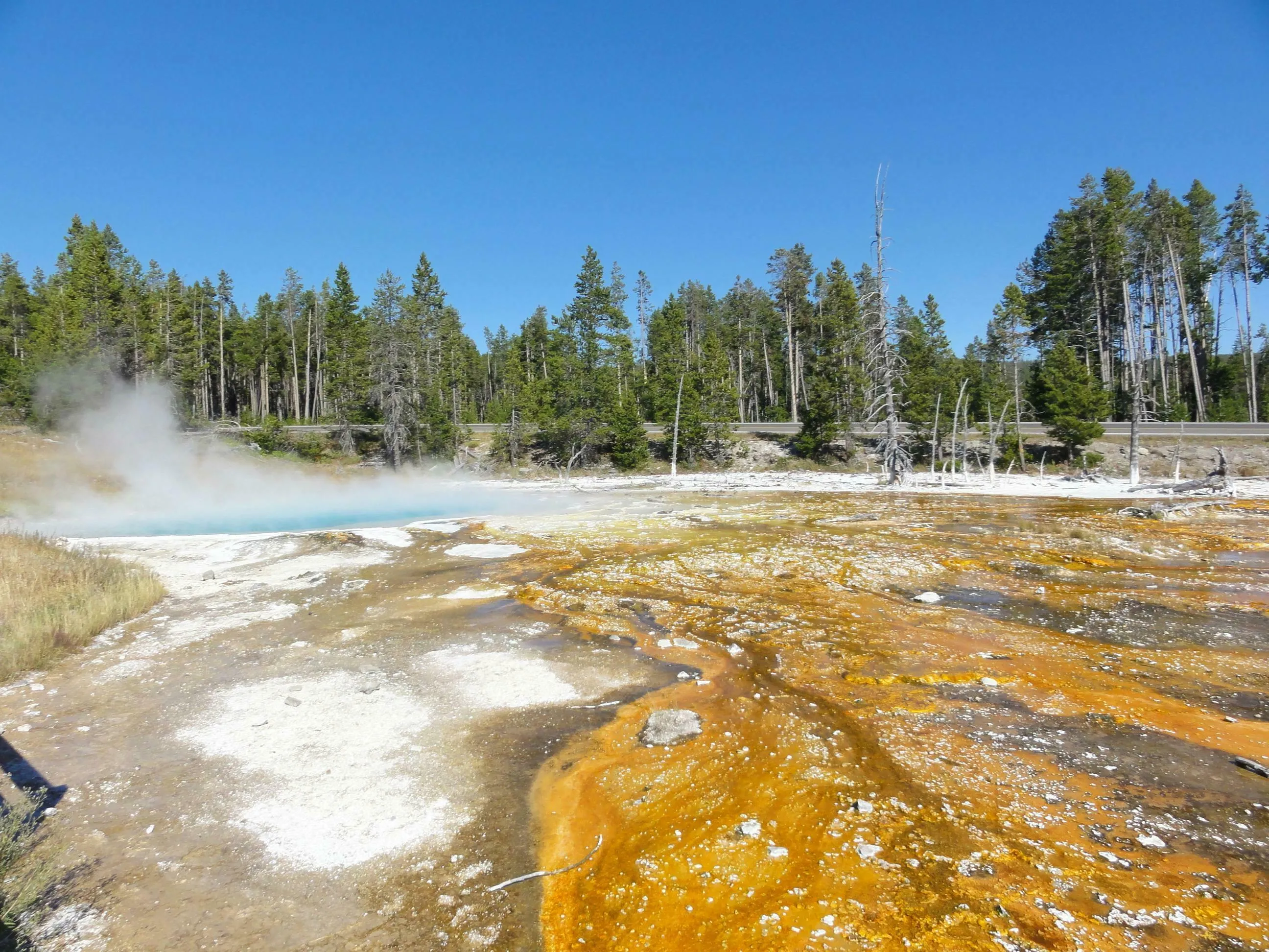 Yellowstone National Park geothermal feature with steaming turquoise water and vibrant orange-brown mineral deposits. US State Capitals Quiz.
