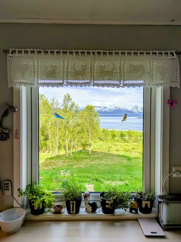 Crochet lace curtain with cat motifs framing a scenic window view, crafted by talented crocheters