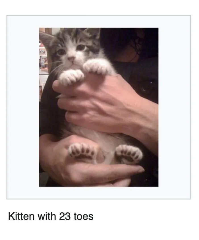 This Page Shared 69 Weird Animal Facts People Discovered While Falling Into A Wikipedia Rabbit Hole