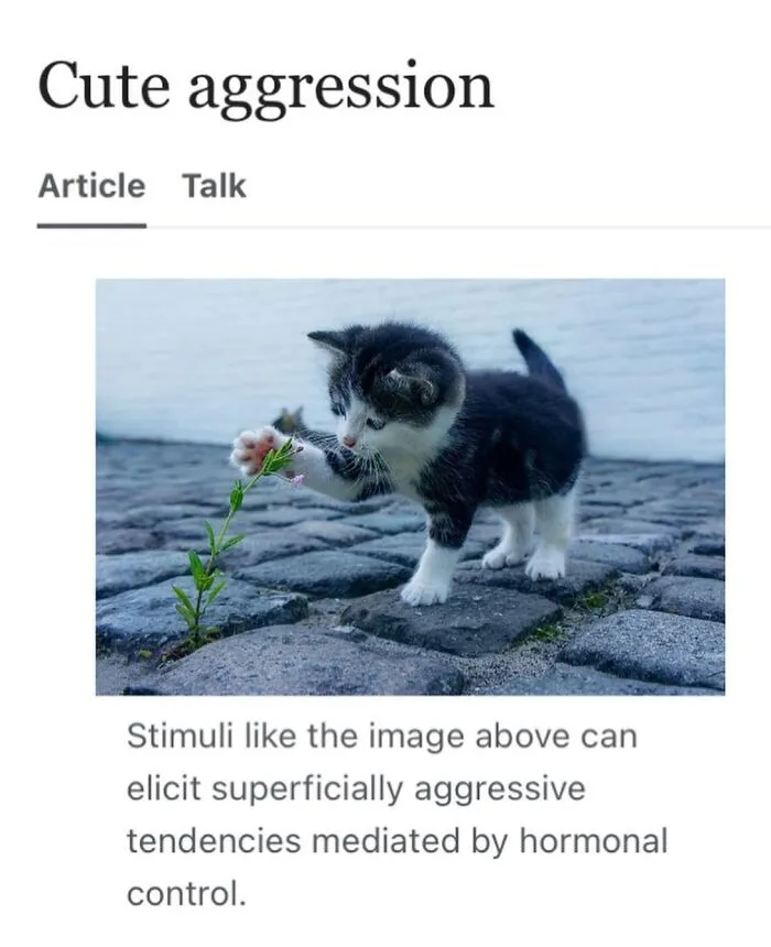 This Page Shared 69 Weird Animal Facts People Discovered While Falling Into A Wikipedia Rabbit Hole