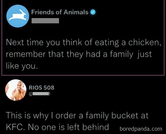 71 Brutally Funny Replies That Ended Up Winning The Whole Post