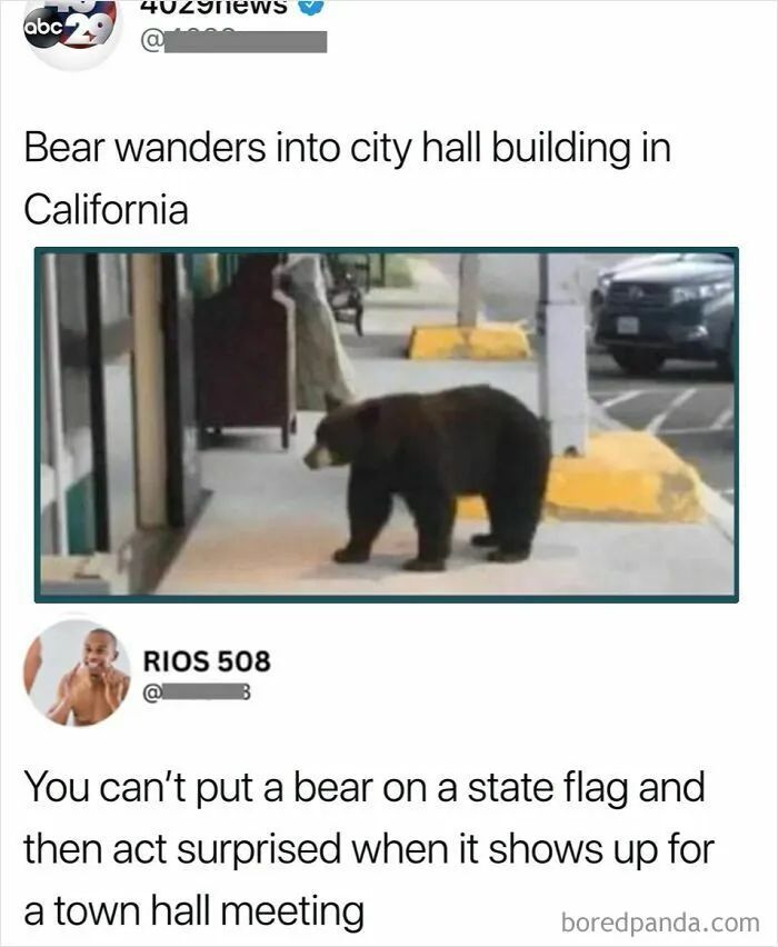 71 Brutally Funny Replies That Ended Up Winning The Whole Post