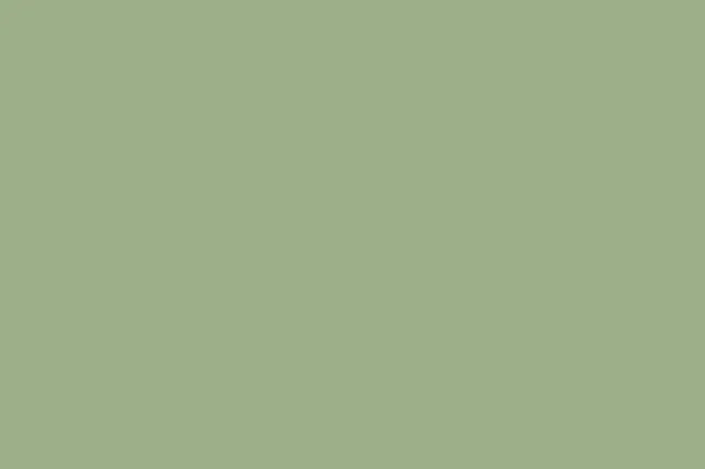 A solid, uniform block of pastel green color, a soft and muted shade of green, perfect for picking a color.