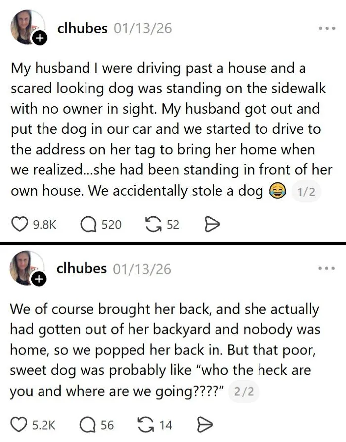 Hilarious story of accidentally stealing a dog in married life