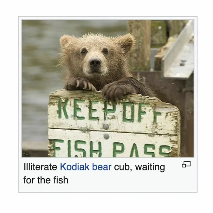 This Page Shared 69 Weird Animal Facts People Discovered While Falling Into A Wikipedia Rabbit Hole