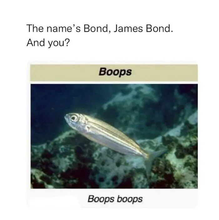 This Page Shared 69 Weird Animal Facts People Discovered While Falling Into A Wikipedia Rabbit Hole