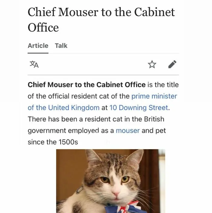 This Page Shared 69 Weird Animal Facts People Discovered While Falling Into A Wikipedia Rabbit Hole