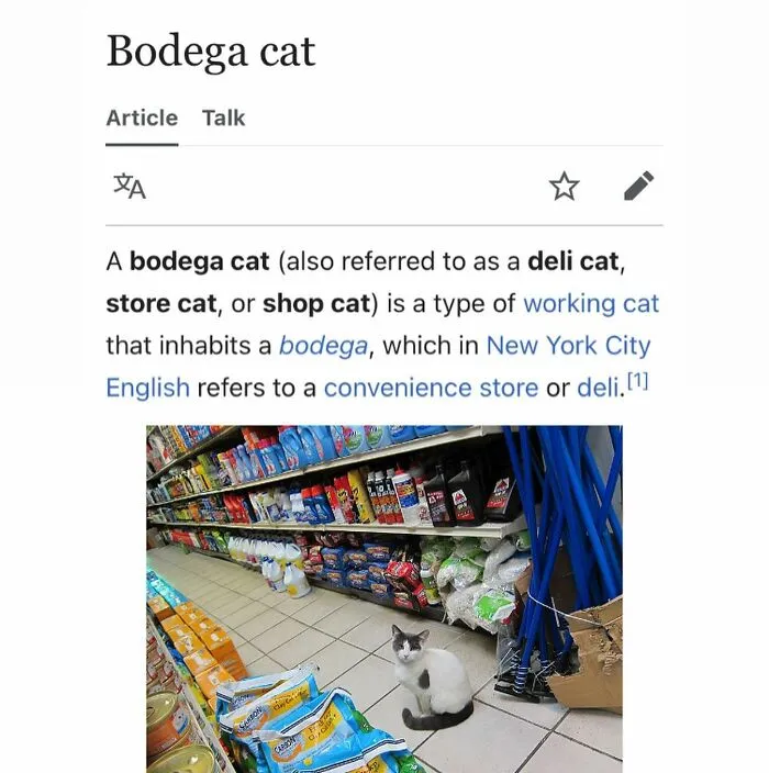 This Page Shared 69 Weird Animal Facts People Discovered While Falling Into A Wikipedia Rabbit Hole