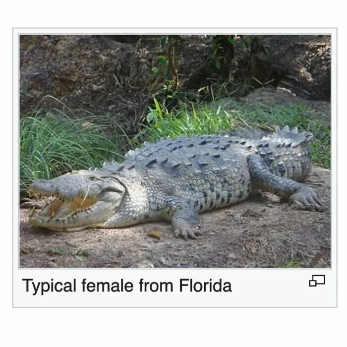 This Page Shared 69 Weird Animal Facts People Discovered While Falling Into A Wikipedia Rabbit Hole