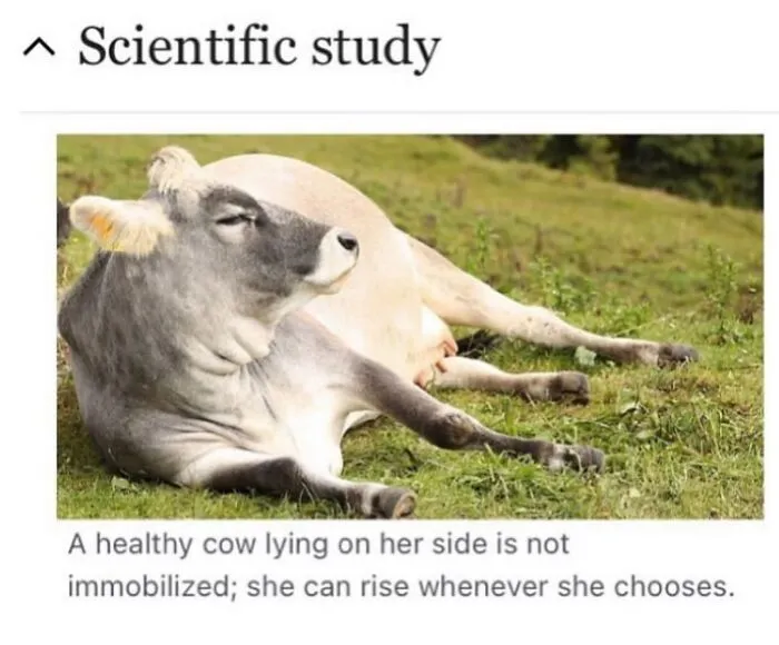 This Page Shared 69 Weird Animal Facts People Discovered While Falling Into A Wikipedia Rabbit Hole