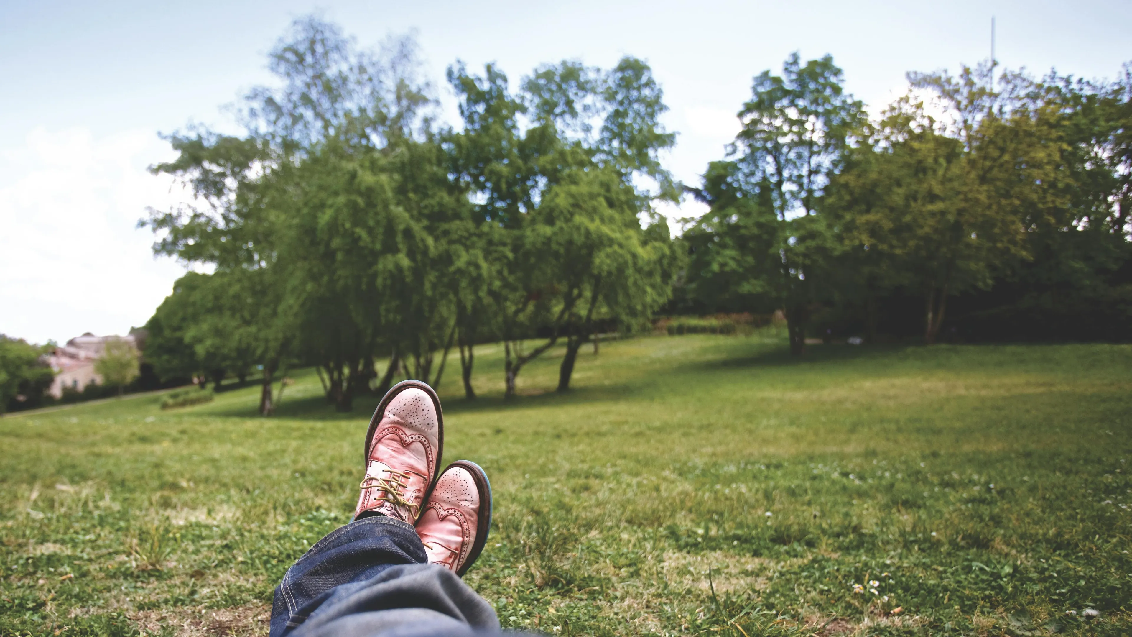 Someone's legs in blue jeans and pink shoes, relaxing in a grassy park, contemplating their medieval profession.