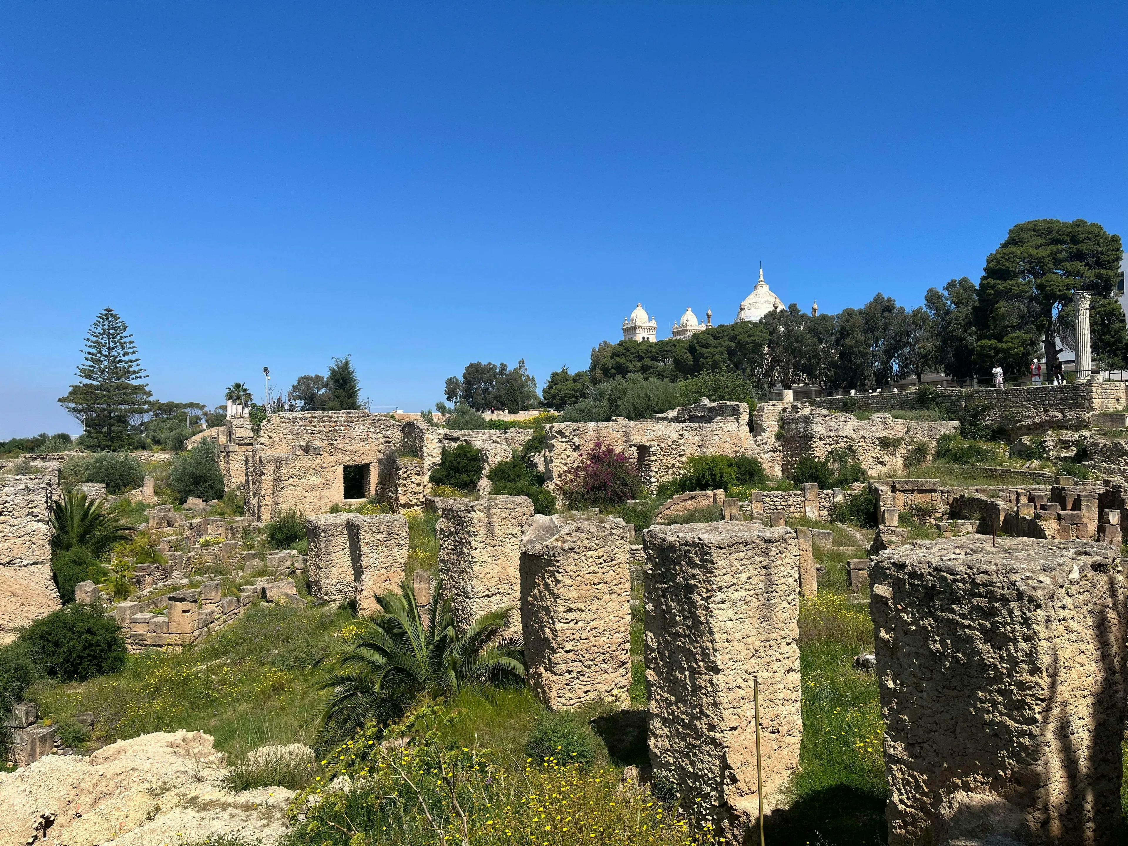 Ancient ruins of Carthage on a sunny day, with overgrown vegetation and a white-domed building in the background. General Knowledge Quiz.