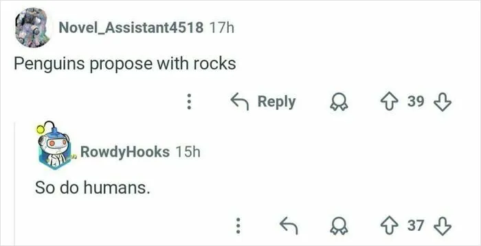 We Aren't So Different After All
