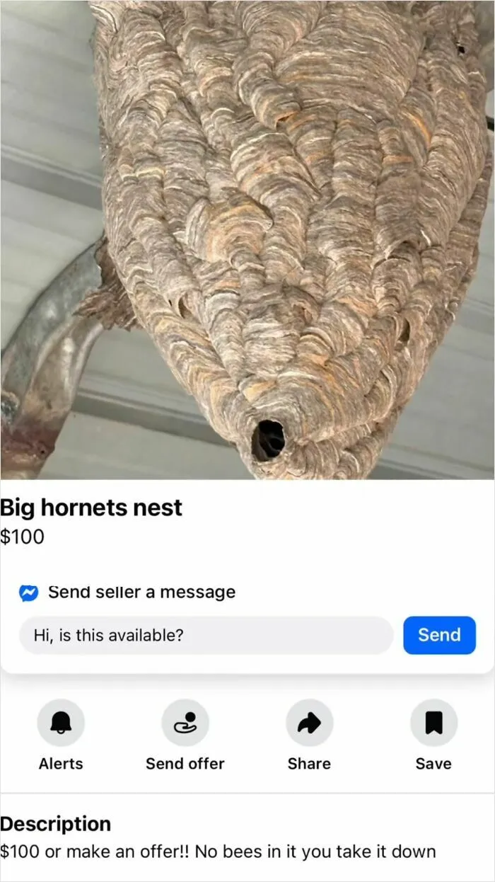 The Appalachian FB Marketplace Is Wild, And Here Are 73 Of Their Most Bizarre Listings