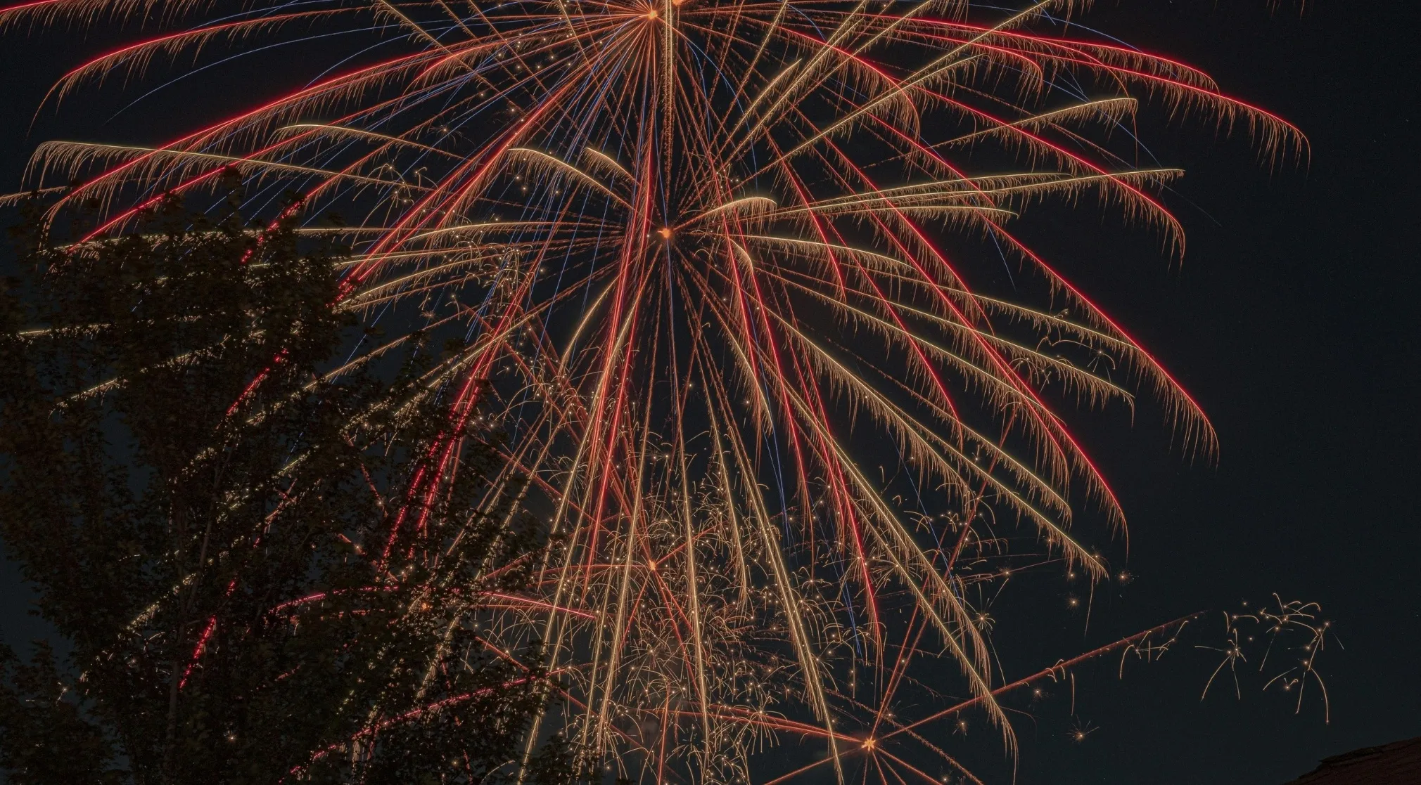 Colorful fireworks illuminate the night sky, celebrating the 4th of July in America. Explosions of red, gold, and blue light up the dark.