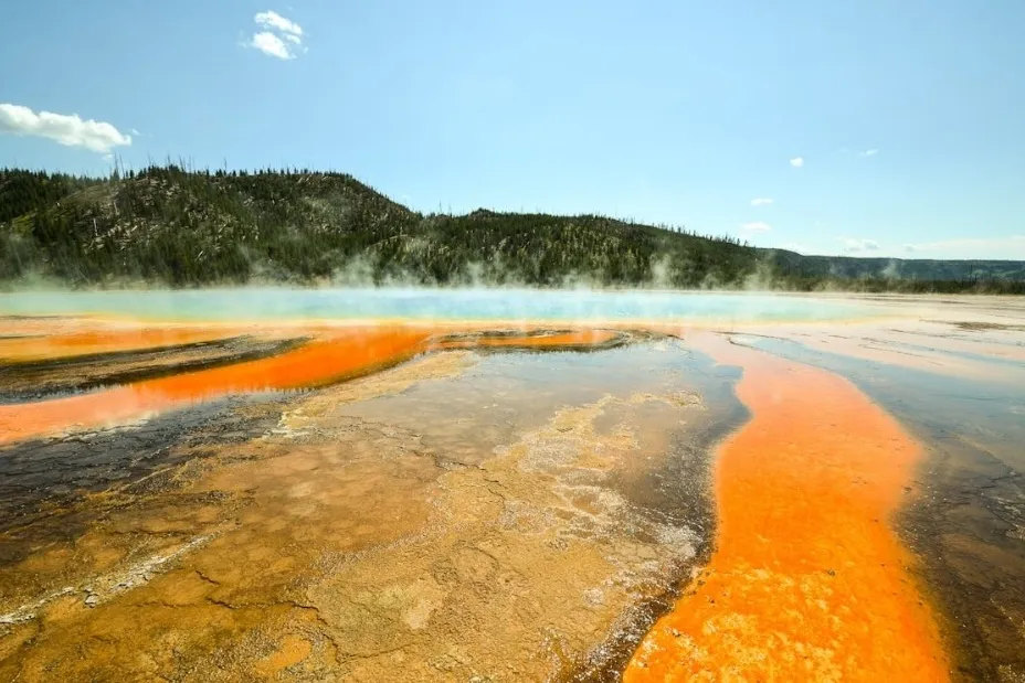 Vibrant Yellowstone geothermal spring with orange microbial mats and steaming blue water, forested hills in the background.