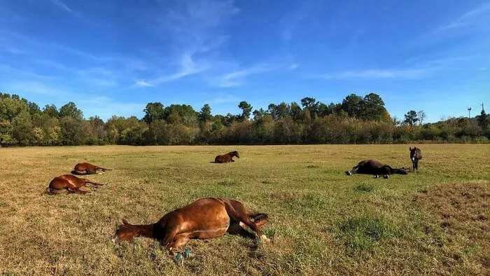 The Sun Came Out Today And Switched These Guys Off