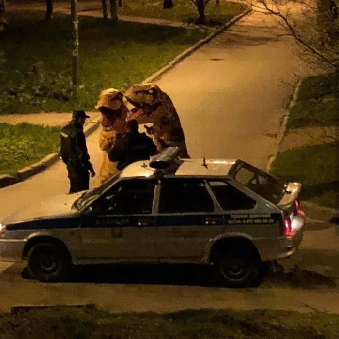 Dino Detectives