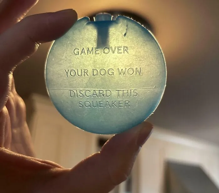 Minimalism dog toy with message saying game over your dog won discard this squeaker