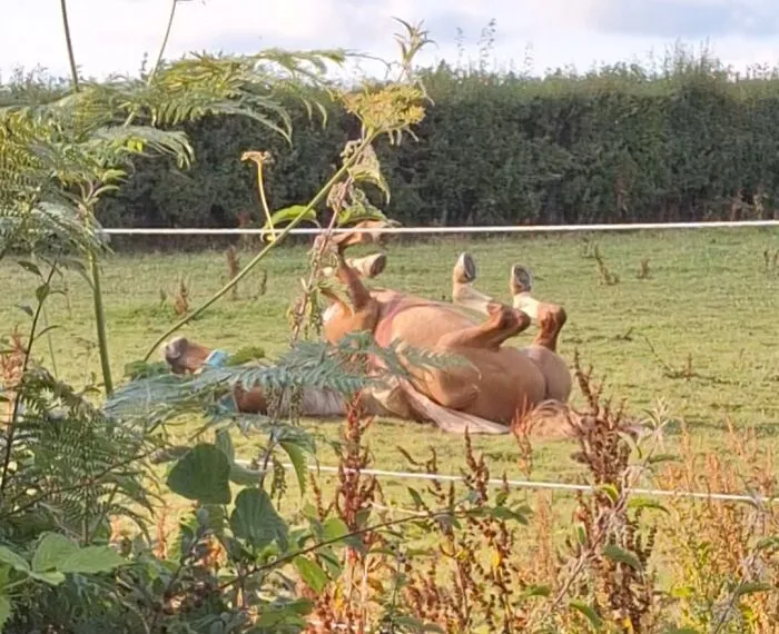 Sun's Out, Bums Out