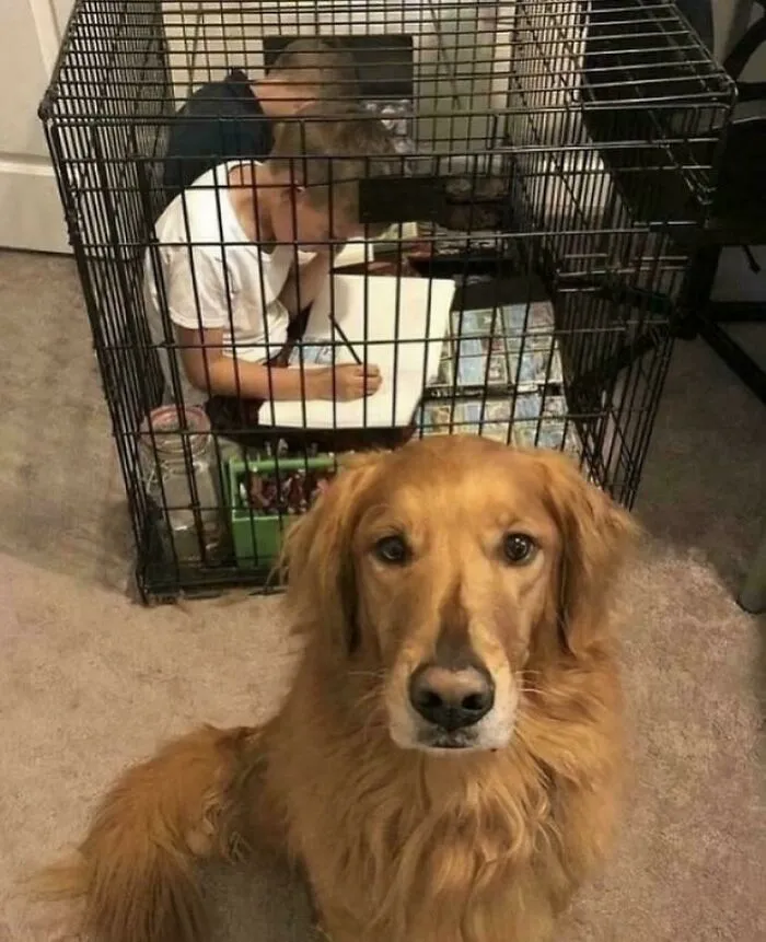 The Wrong One Got Put In Timeout