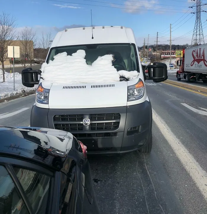 Encountered One In The Wild Today. Look Closely, You’ll See The Driver. He Almost Rear Ended Me Twice. I Got Out After The Second Time And Snapped This Beauty