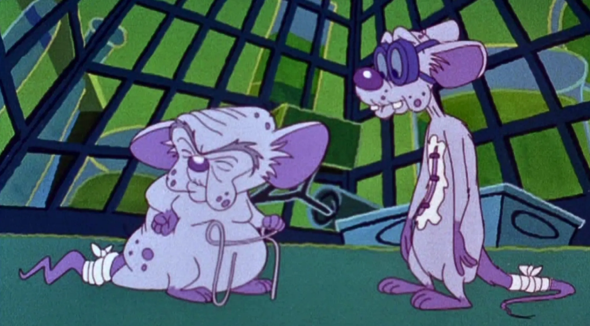Pinky and The Brain, both with bandages, from a Saturday Morning Cartoons Trivia image. What Saturday morning cartoon is this?