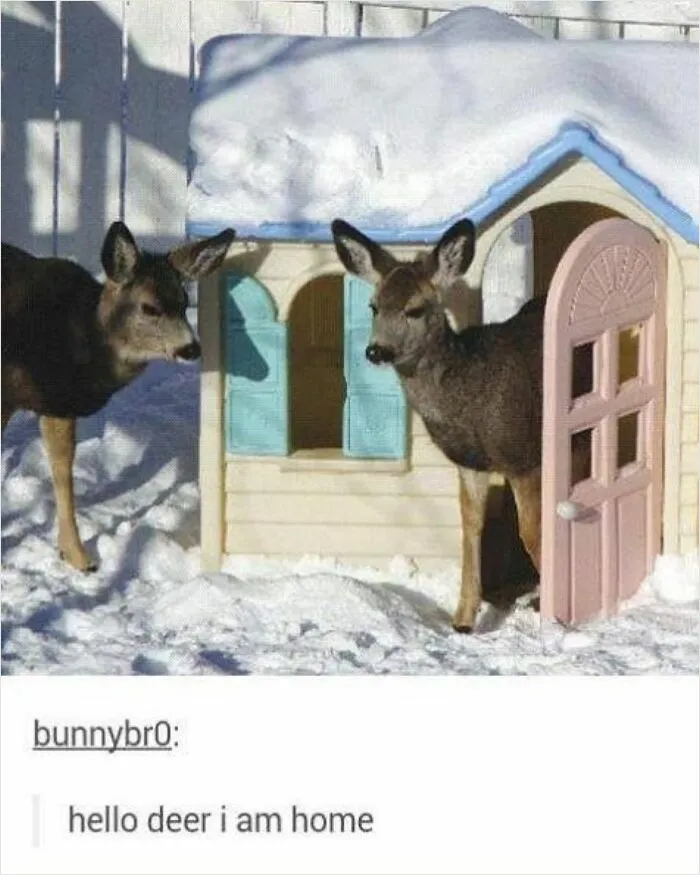 Two deer standing by a small playhouse covered in snow with a funny godless comment caption